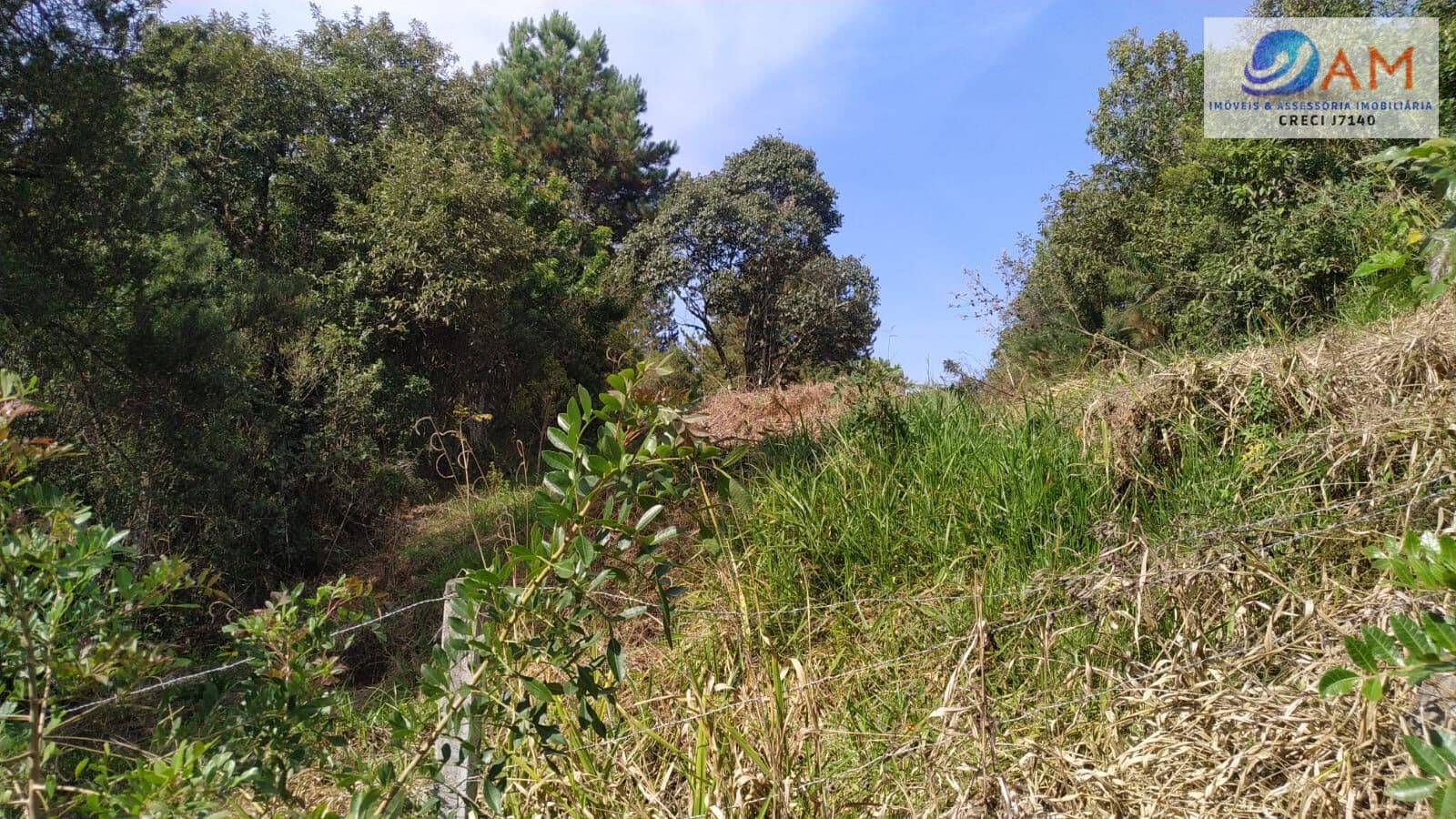 Lote/Terreno em Campo Largo - Vila Torres II