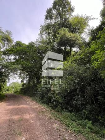 Terreno à venda no bairro Arroio Feliz em Feliz/RS
