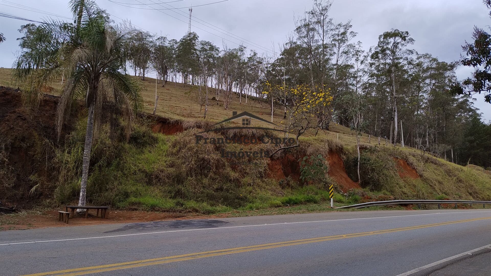 Fazenda/Sítios/Chácaras em Guaratinguetá - Pedreira