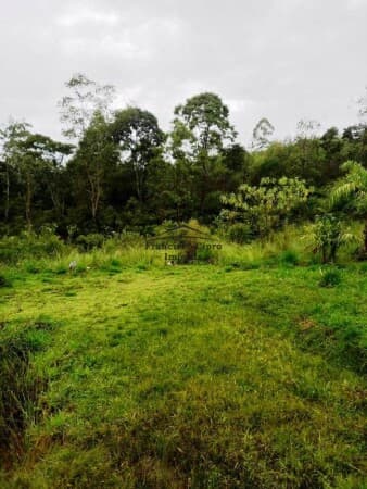 Fazenda/Sítios/Chácaras em Guaratinguetá - Rocinha
