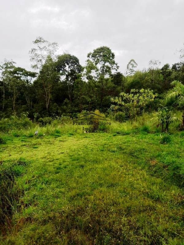 Fazenda/Sítios/Chácaras em Guaratinguetá - Rocinha