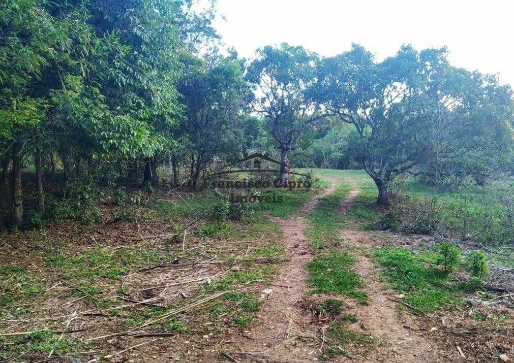 Terreno Terreno