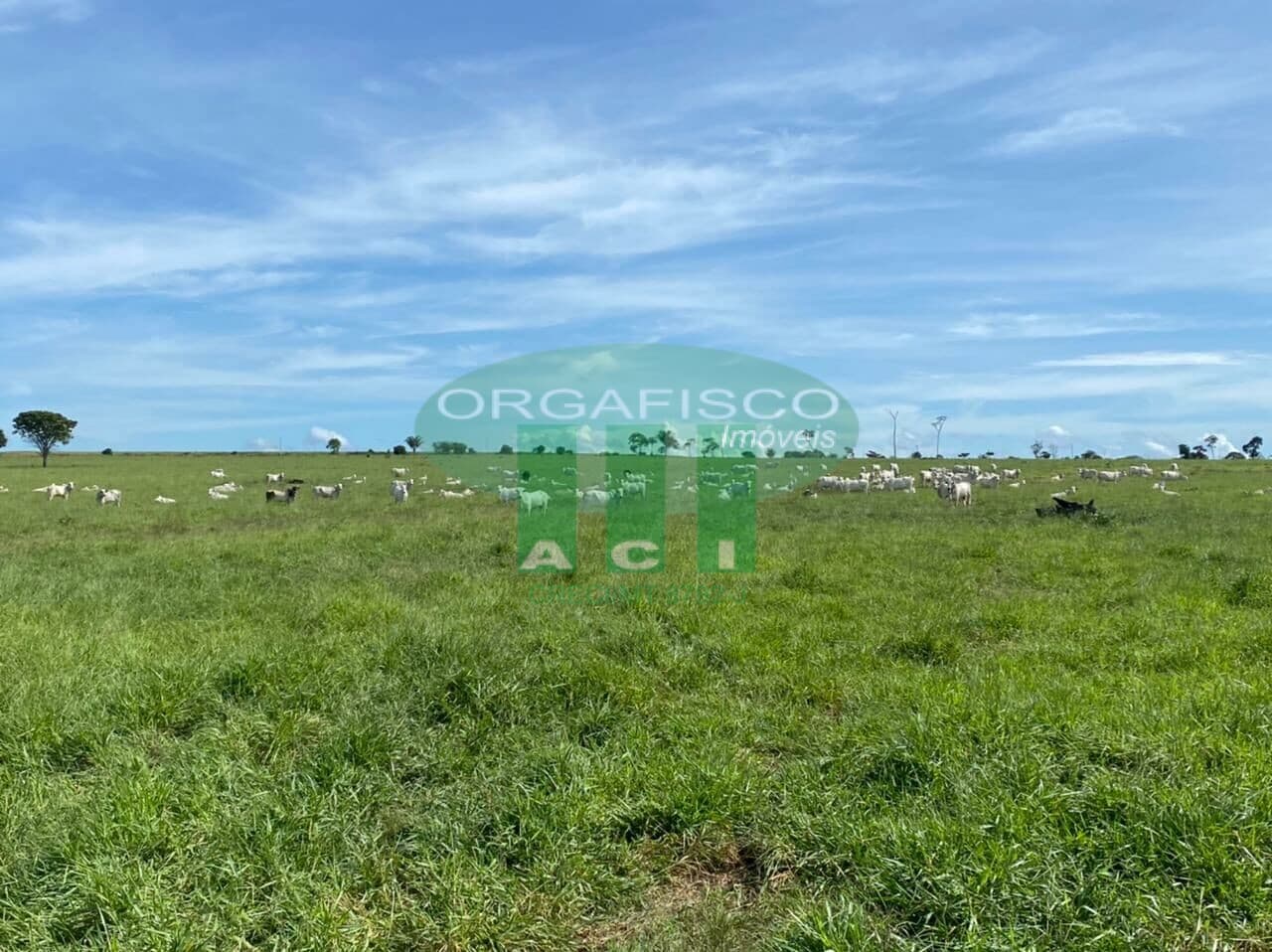 Fazenda/Sítios/Chácaras em Juara - Centro