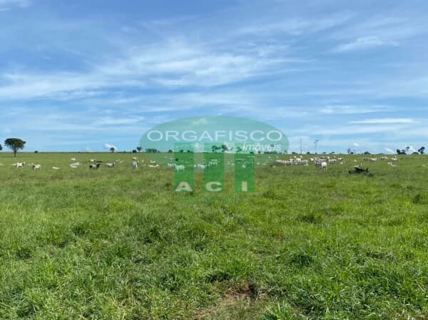 Fazenda/Sítios/Chácaras em Juara - Centro