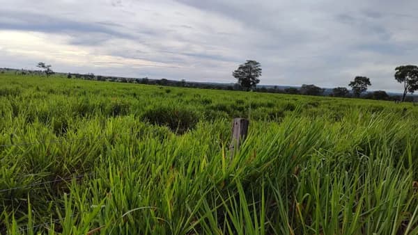 Fazenda/Sítios/Chácaras em Alcinópolis - Centro