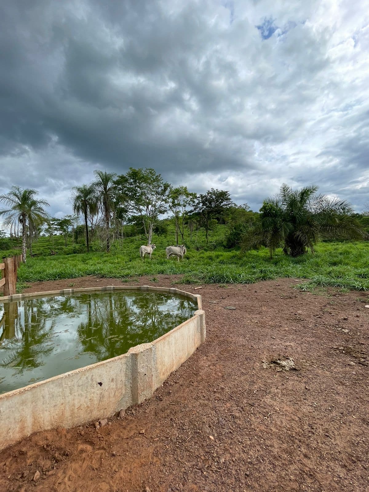 Fazenda/Sítios/Chácaras em Poxoréu - Centro