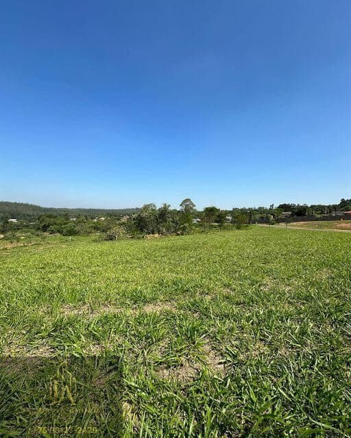 Terreno Lote na Centenário