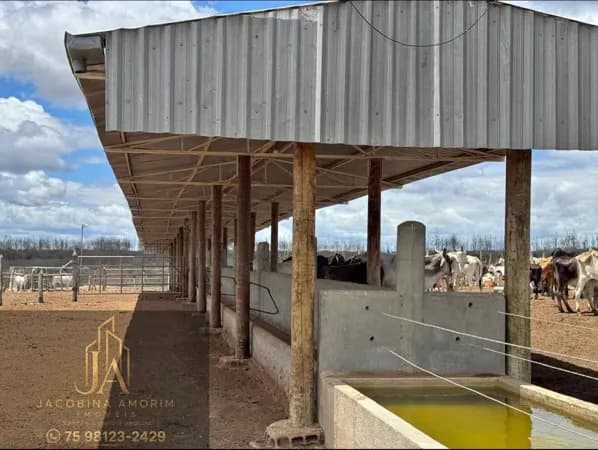 Fazenda em Euclides da Cunha