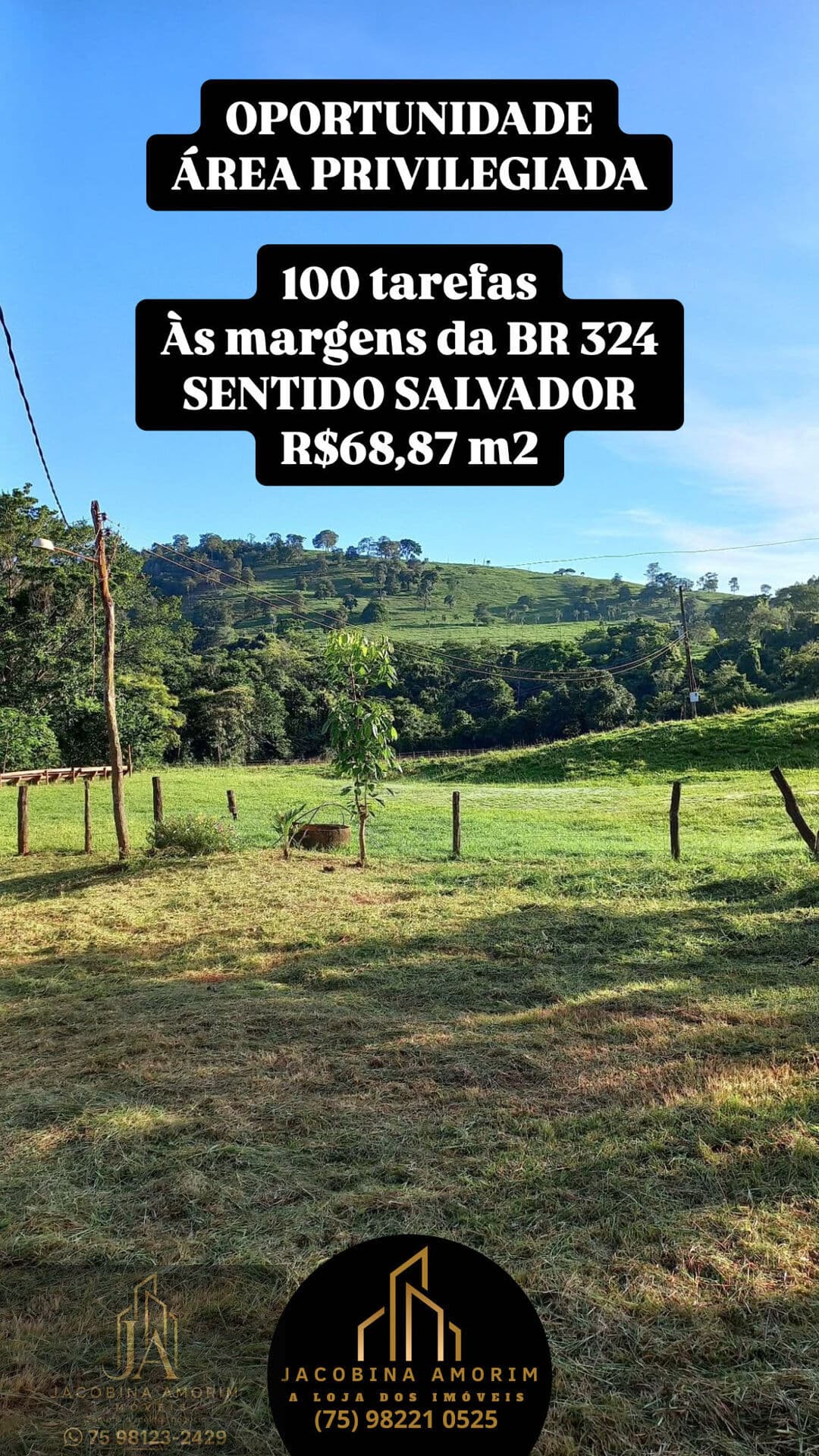 ÁREA em BR 324, Feira de Santana/BA
