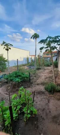 Lote/Terreno em Rio Claro - JD PRIMAVERA