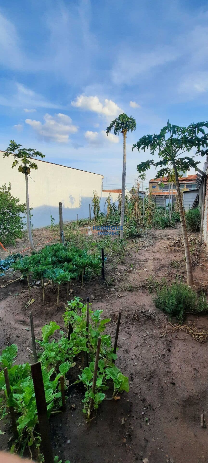 Lote/Terreno em Rio Claro - JD PRIMAVERA