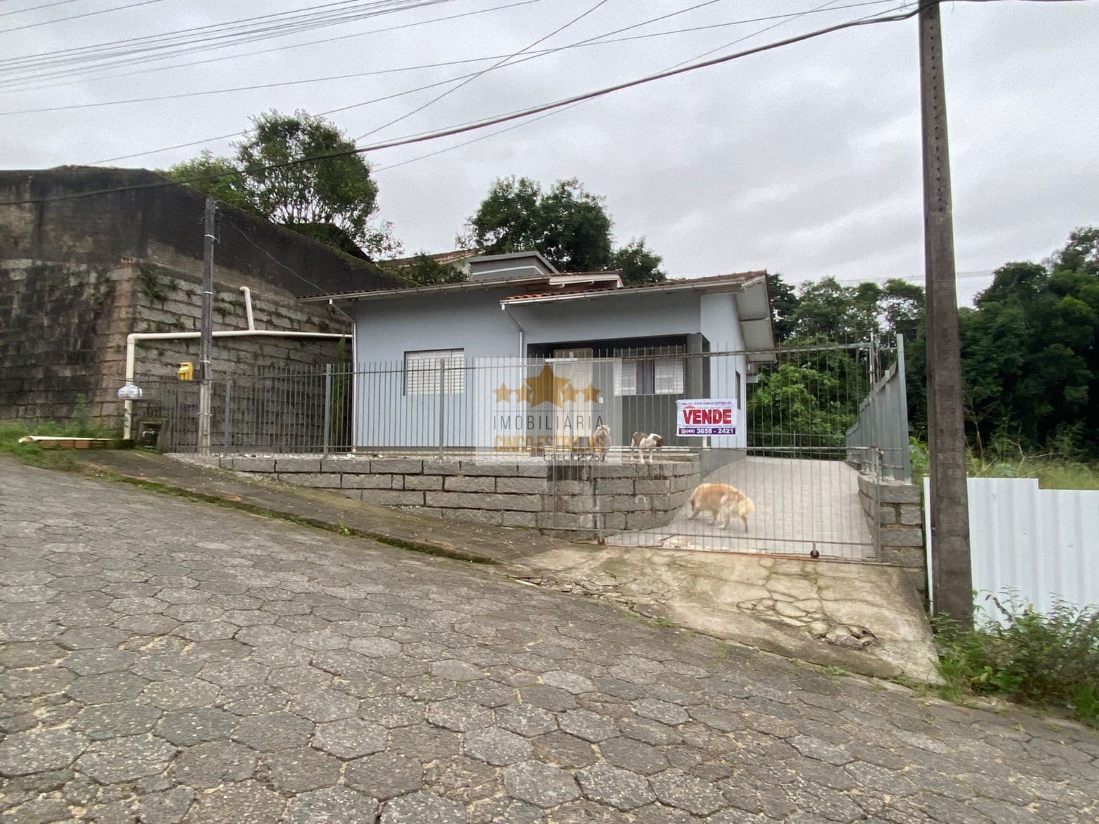Casa em Braço do Norte - São Basílio
