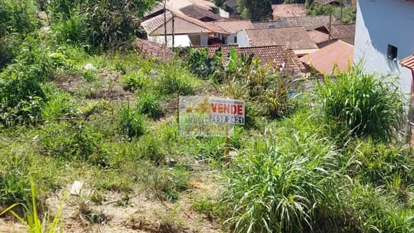 Lote/Terreno em Braço do Norte - Centro