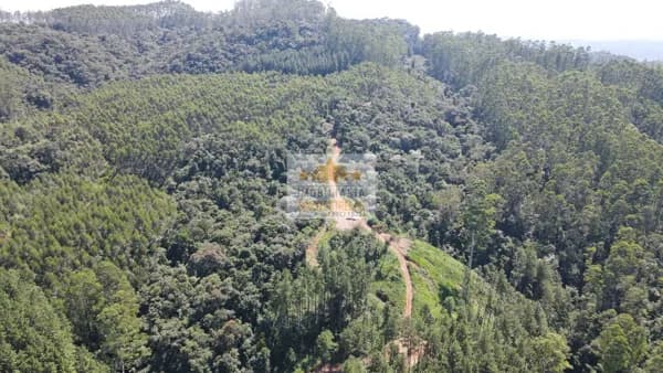Fazenda/Sítios/Chácaras em Santa Rosa de Lima - Margem Direita do Rio Braço do Norte