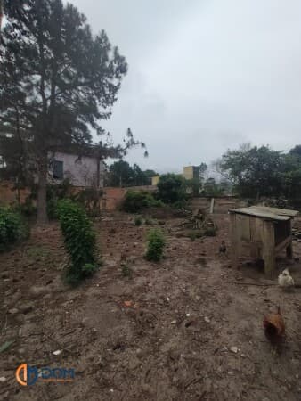 Terreno com 1000m² á aproximadamente 7km da Praia de Ingleses.