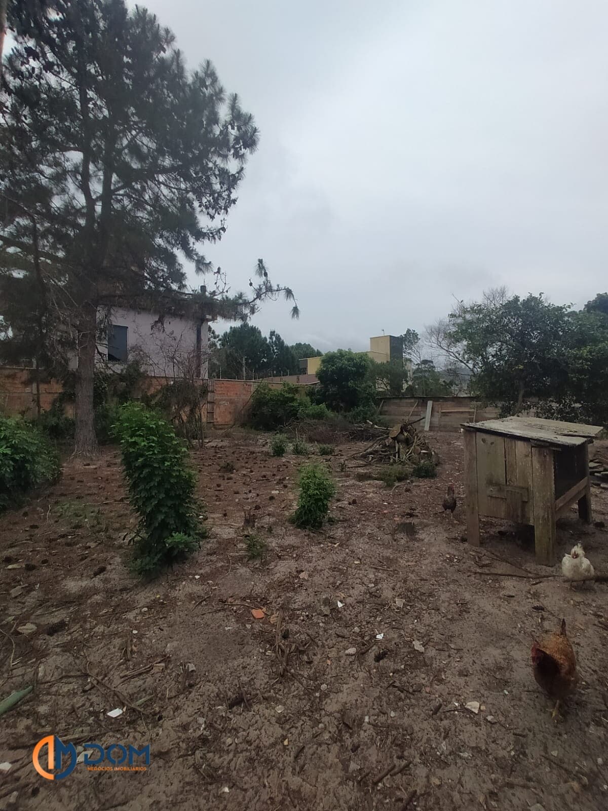 Terreno com 1000m² á aproximadamente 7km da Praia de Ingleses.