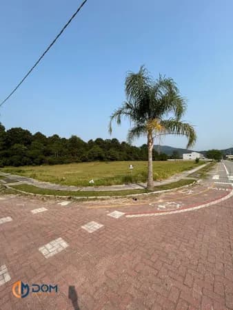 Terreno em Loteamento São joão do rio vermelho Florianópolis