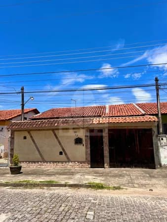 Raridade em Campo Grande