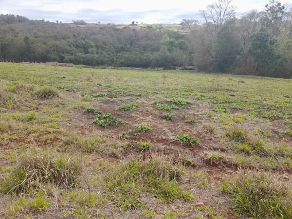 Terreno Rural
