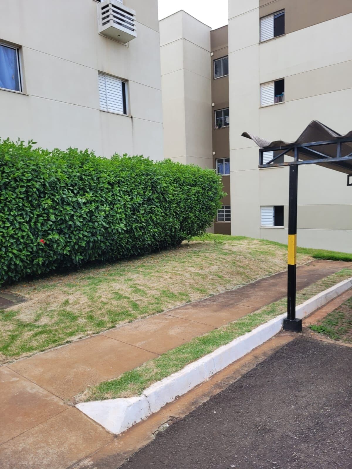 Apartamento à venda zona norte prox estadio do cafe - Londrina/PR