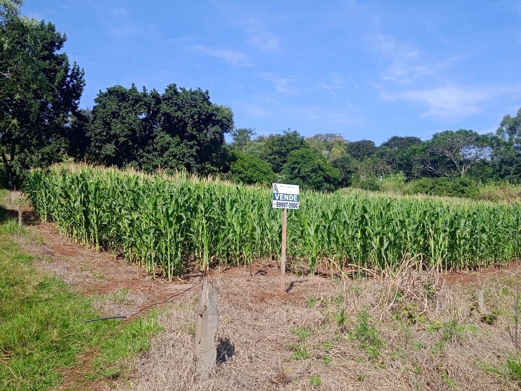 Área 1 Alqueire à venda no distrito de Guaravera - R$ 400.000 - Londrina/PR