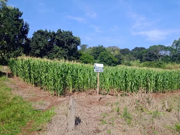 Área 1 Alqueire à venda no distrito de Guaravera - R$ 400.000 - Londrina/PR