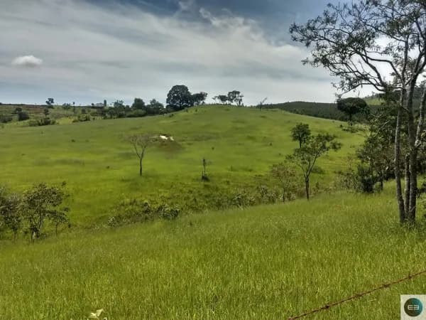 16 alqueires em Taubaté