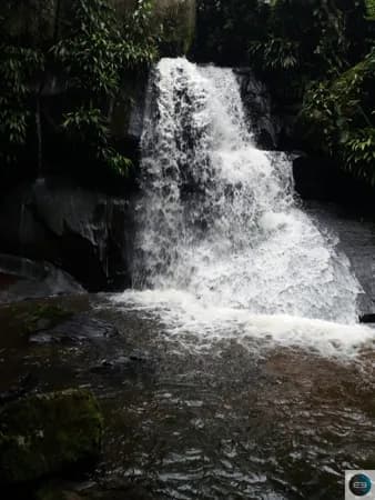 Área com natureza exuberante!