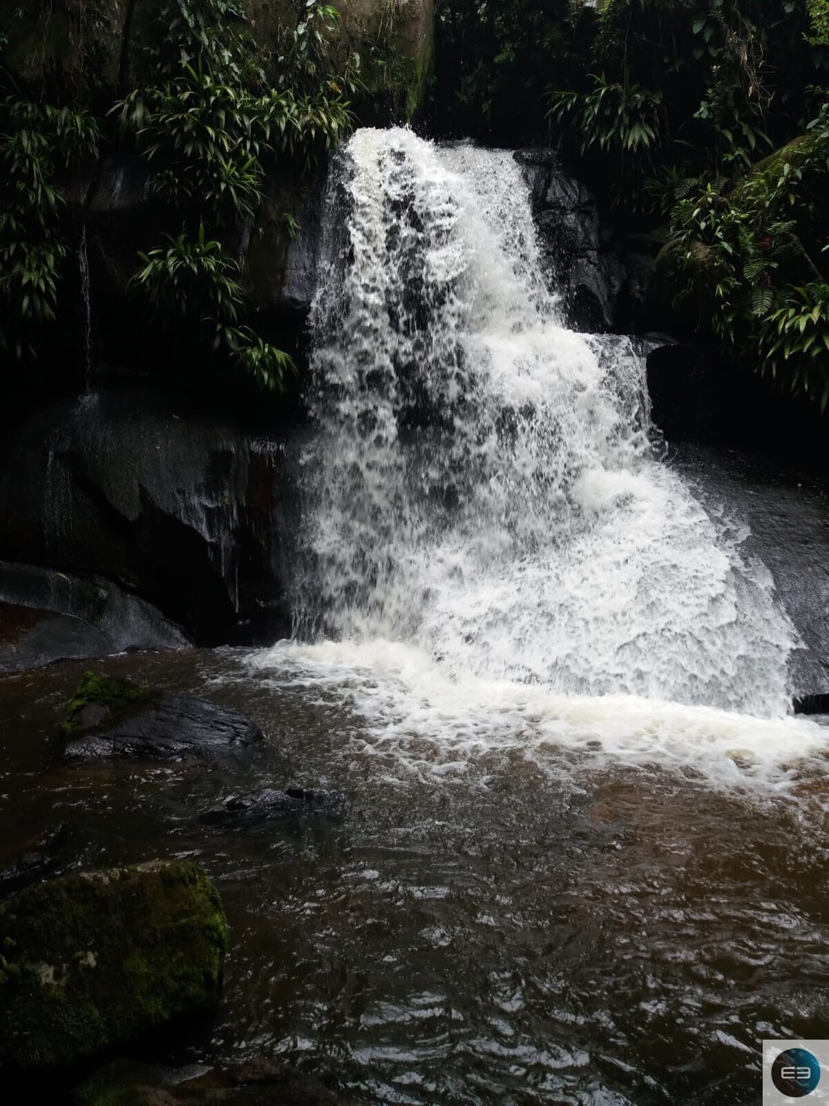Área com natureza exuberante!