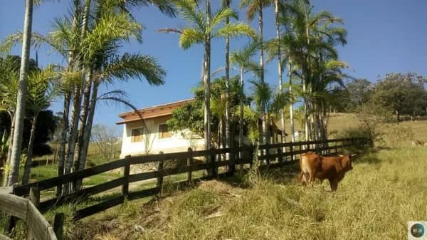 Sítio na Rodovia dos Tamoios 9 alqueires