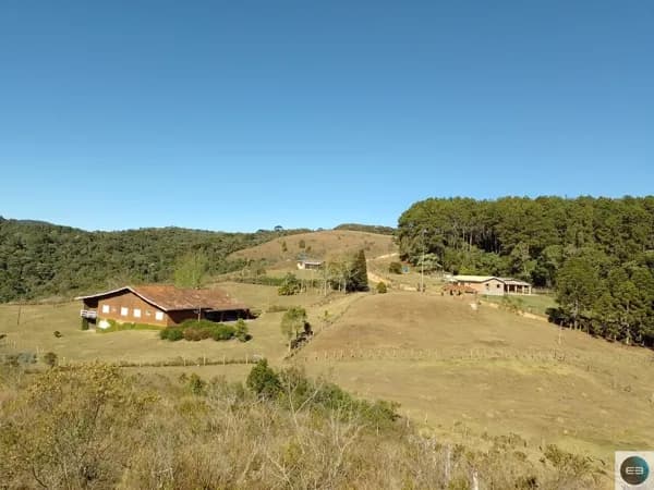 Fazenda em Delfim Moreira MG 79 alqueires