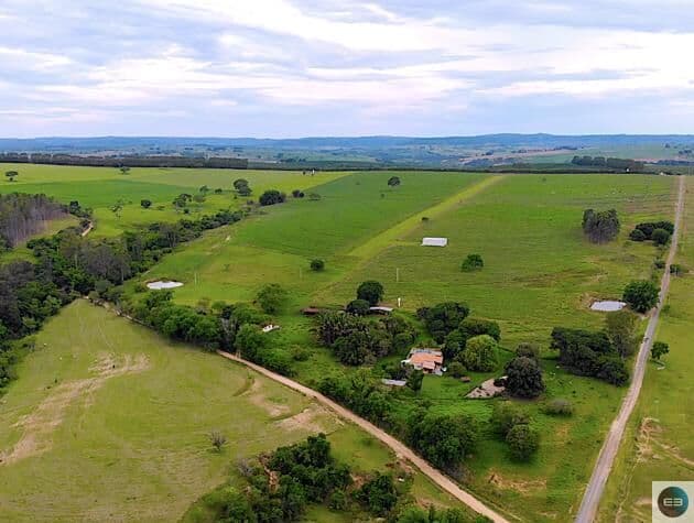 Fazenda em Marília