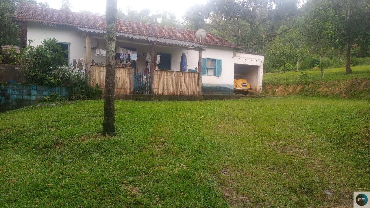 Área com eucaliptos 29 alqueires