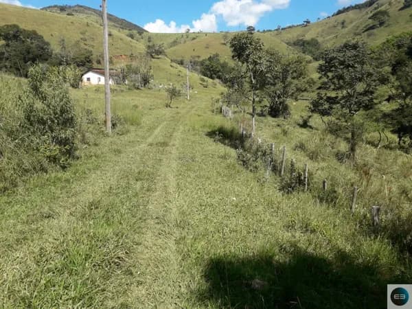 Sítio com aguada boa em Pinda 13 alqueires
