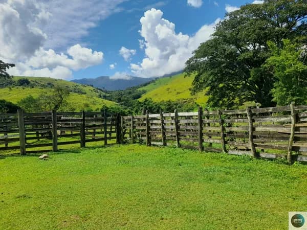 Fazenda em Areias 629 alqueires