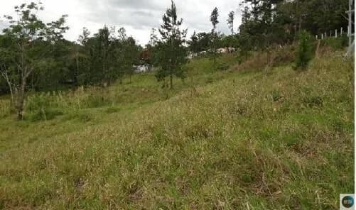 Terreno à 50 metros da Dutra