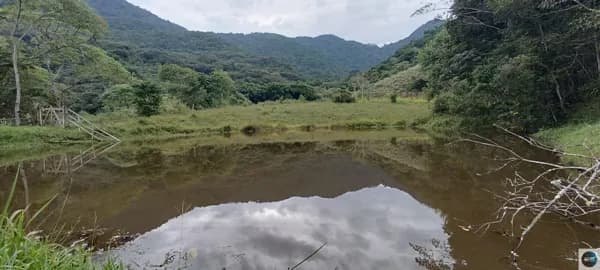 Fazenda com mata nativa e cachoeiras