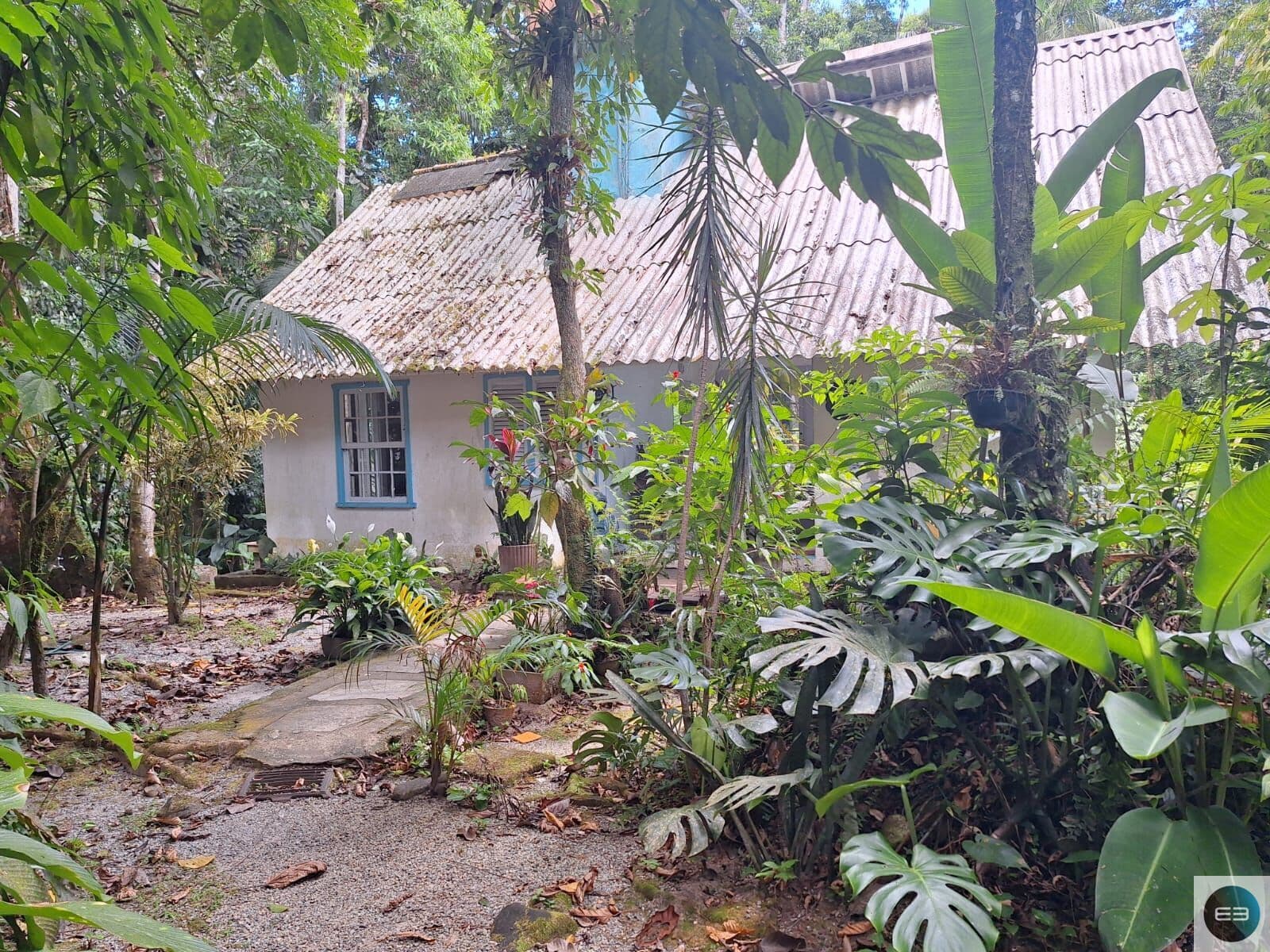 Casa na Mata Atlântica