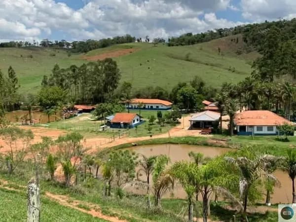 Haras em Lagoinha