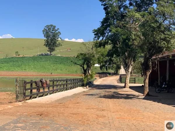 Fazenda 130 alqueires em Canas