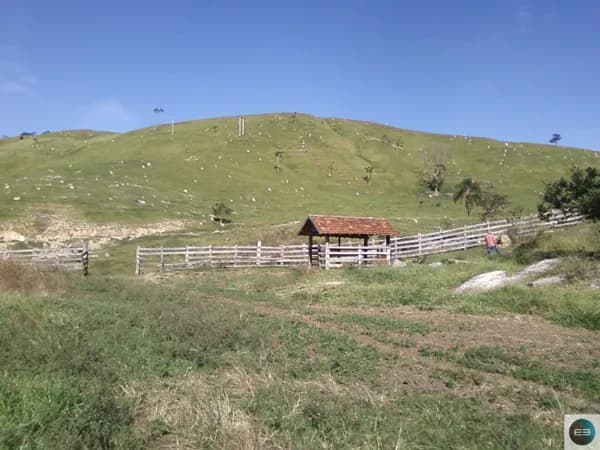 Fazenda com 54 alqueires