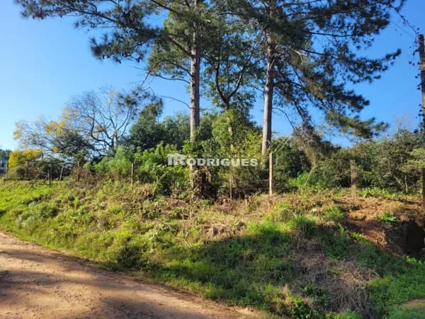 Lote/Terreno em Cachoeira do Sul - Visconde de Mauá