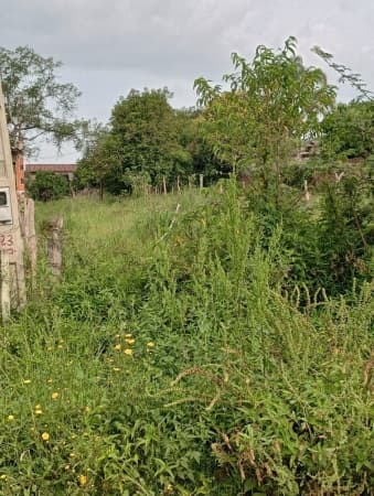 Lote/Terreno em Cachoeira do Sul - Soares