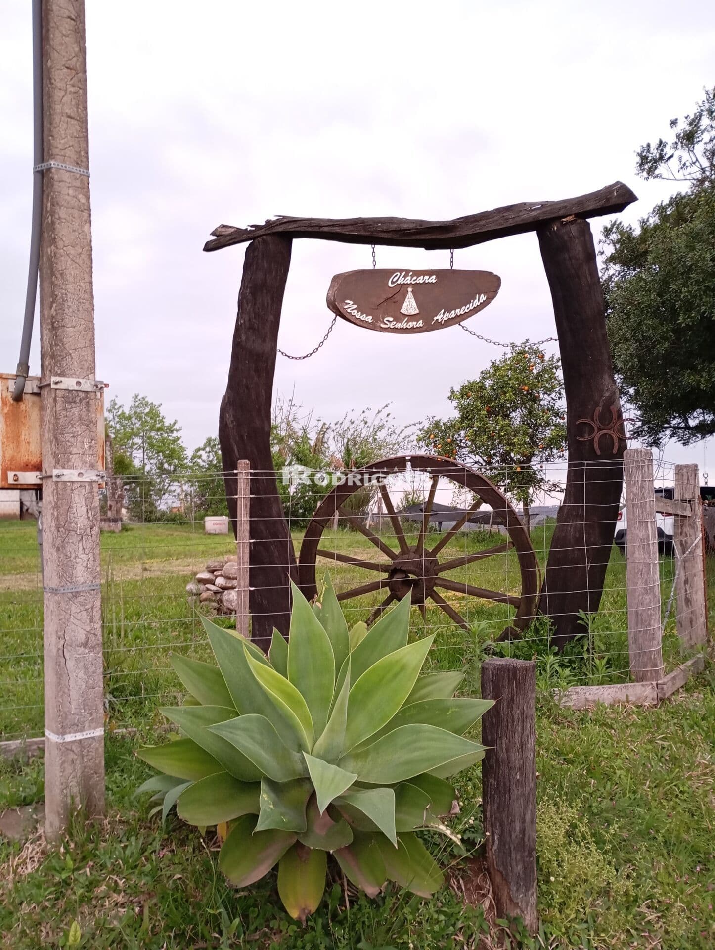 Fazenda/Sítios/Chácaras em Cachoeira do Sul - Três Vendas