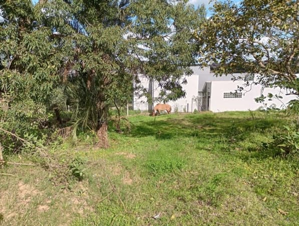 Lote/Terreno em Cachoeira do Sul - Augusta