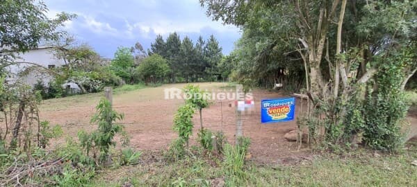 Lote/Terreno em Cachoeira do Sul - Marina
