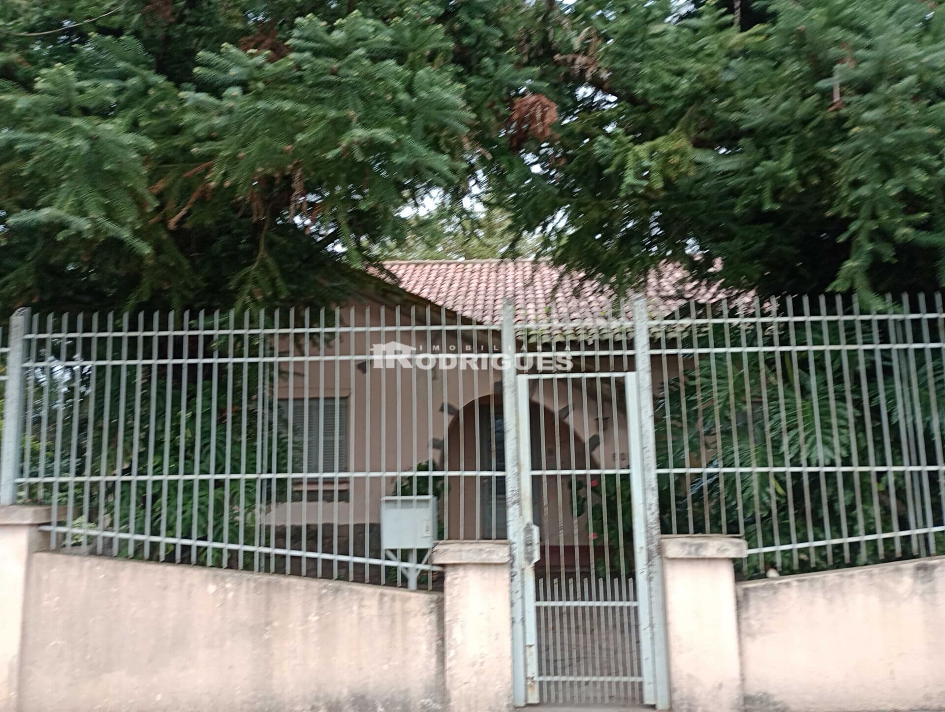 Casa em Cachoeira do Sul - Alto Amorim