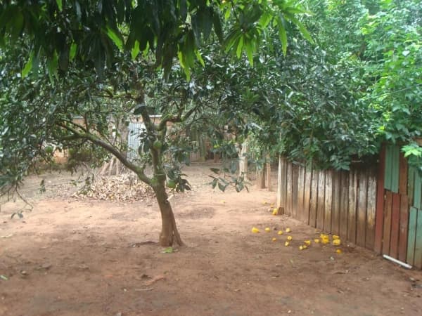 Lote/Terreno em Cachoeira do Sul - Parque Xangri-lá