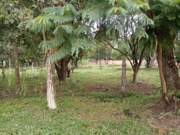 Lote/Terreno em Cachoeira do Sul - Centro