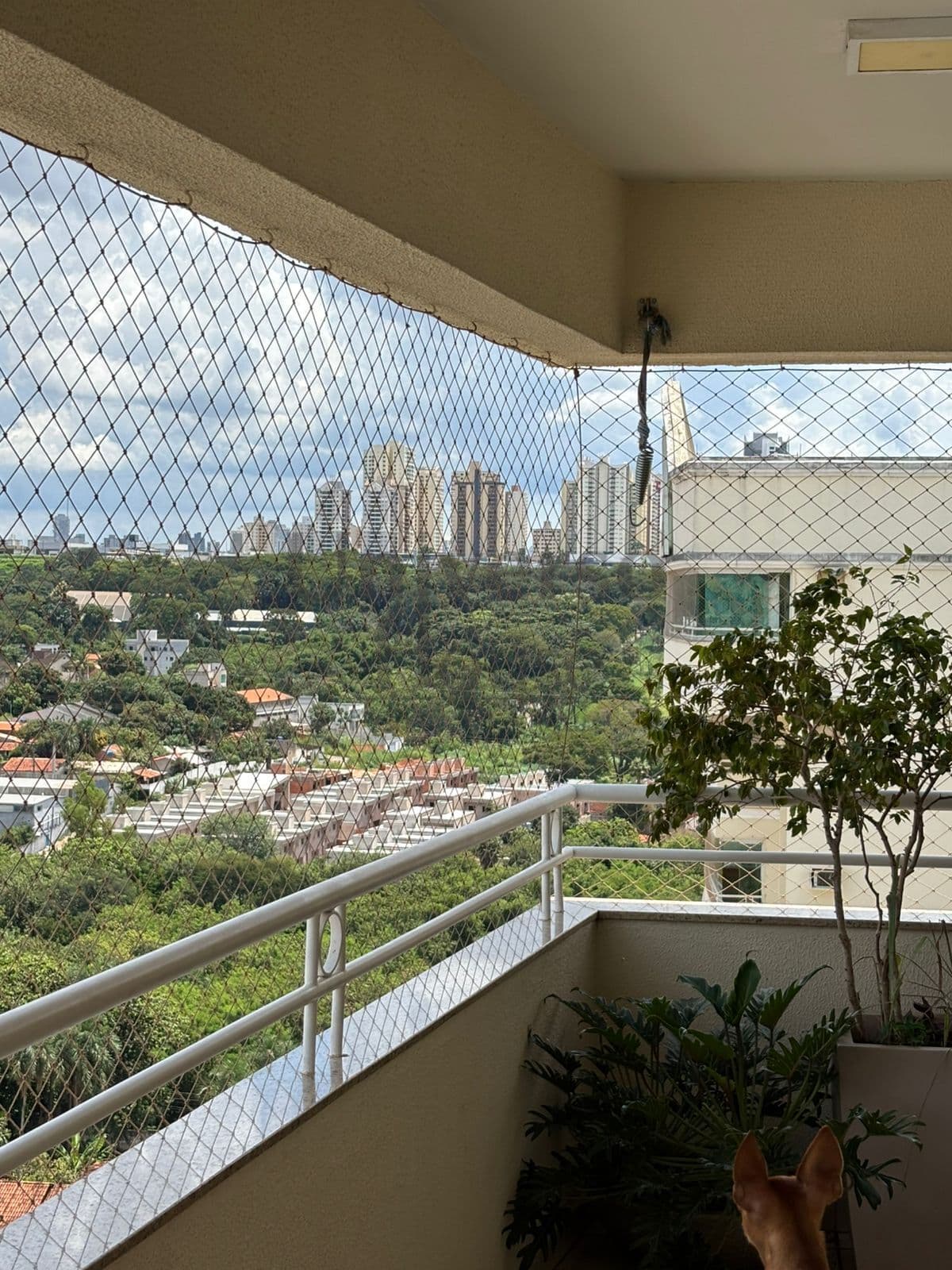 Apartamento Padrão à venda no Alto da Gloria, Goiânia/GO